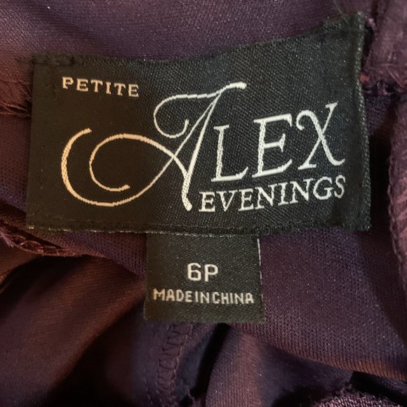 NWT ALEX EVENINGS WOMEN'S 2 PIECE DRESS WITH GLITTER LACE JACKET EGGPLANT 6P - Picture 10 of 12